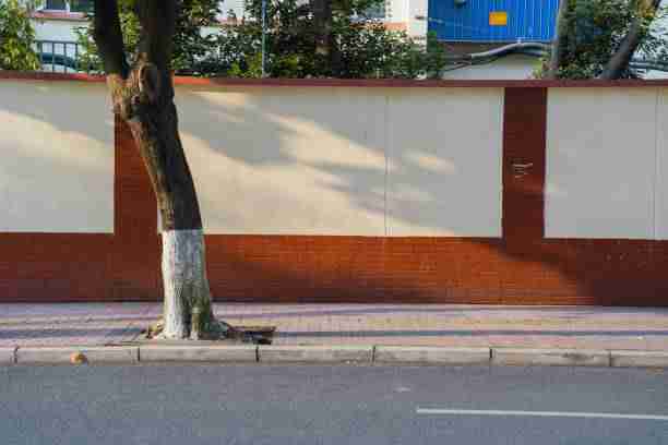 蘑菇影视在线观看#生态版图#评测#全景#沉浸体验，蘑菇影视官网下载